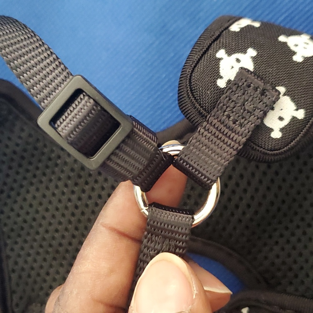 Harness - Picture 4 of 7